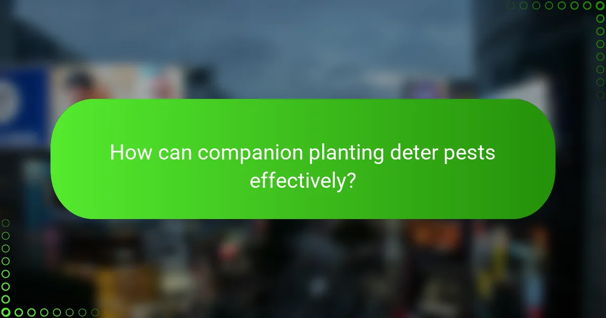 How can companion planting deter pests effectively?