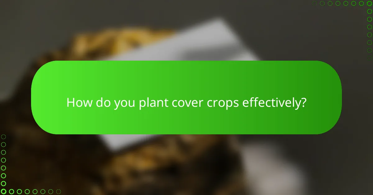 How do you plant cover crops effectively?