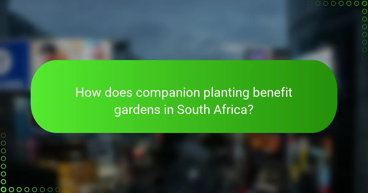 How does companion planting benefit gardens in South Africa?