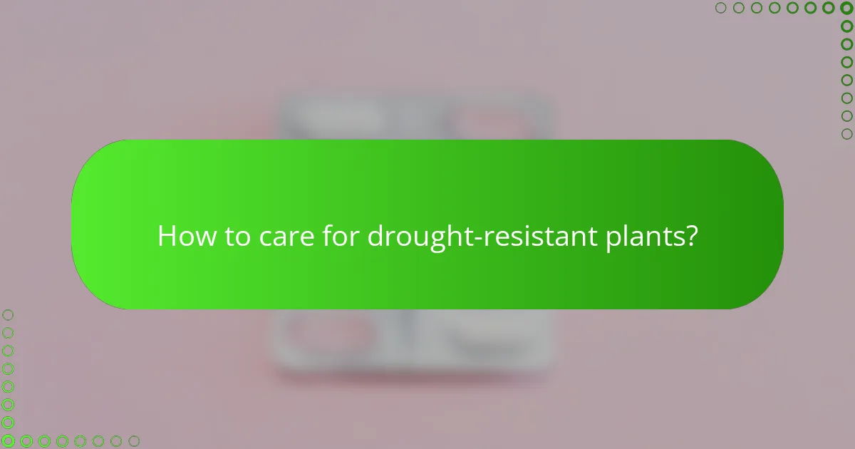 How to care for drought-resistant plants?