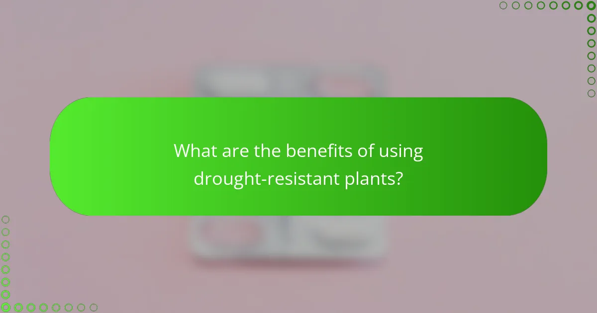 What are the benefits of using drought-resistant plants?
